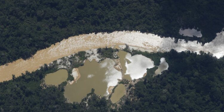 Imagem aérea mostra o resultado da ação dos garimpeiros em território indígena. Foto: Fernando Frazão/Agência Brasil
