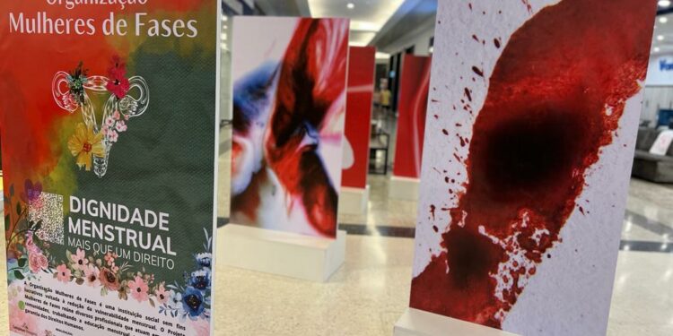 Telas da artista Janaina Morais representam a interação do sangue menstrual com flores, porcelanas, tecidos e outros elementos - Foto: Divulgação