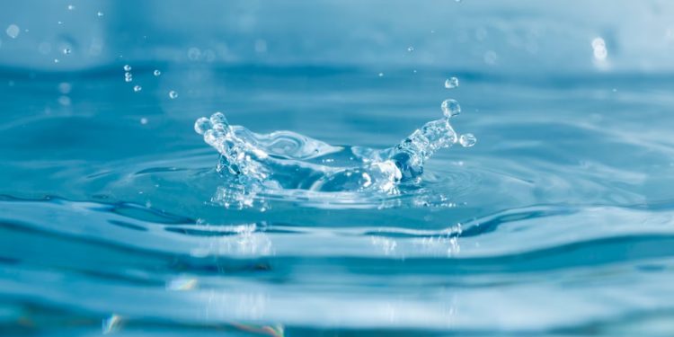 Artigo – Dia Mundial da Água: uso consciente avança, mas o futuro requer mais – por Francisco Carlos Oliver