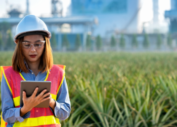 Schneider Electric patrocina segunda edição do Women Entrepreneur Fórum