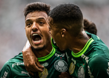 Palmeiras conquistou o seu 25º título estadual - Foto: Jhony Inacio/Agência Paulistão