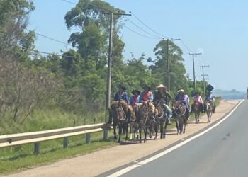 Grupo de romeiros no acostamento da rodovia Marechal Rondon segue em direção a Pirapora do Bom Jesus. Fotos: Divulgação