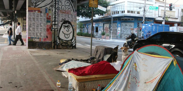 Governo paulista prepara programa social em que pessoas em situação de rua sejam contratadas por produtores rurais - Foto: Rovena Rosa/Agência Brasil