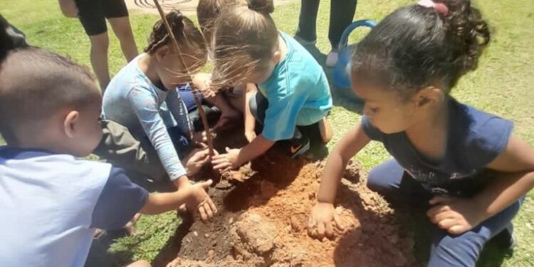 Crianças mexem na terra: atividades educativas marcam celebração do Dia da Terra Foto: Divulgação