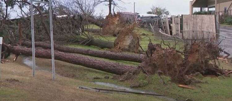 Tornado destruiu casas e árvores Foto: Reprodução