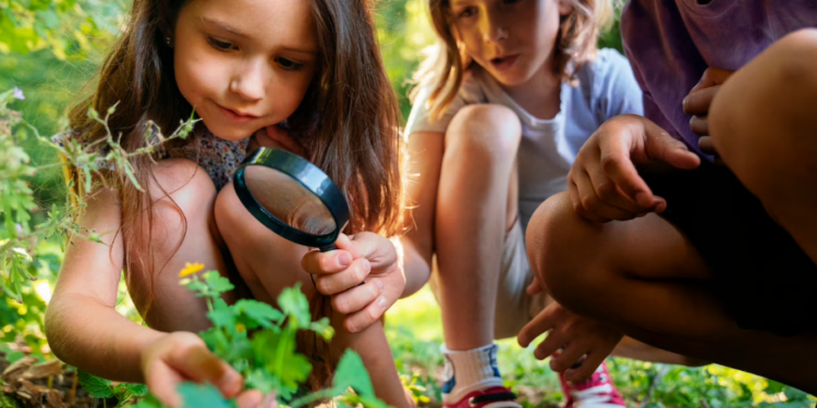 Educação de qualidade é o segredo para a conquista da sustentabilidade – por José Pedro Martins