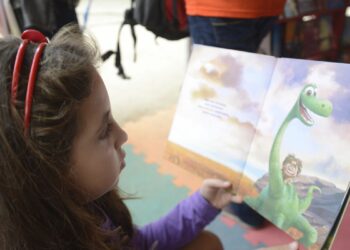 O relatório mostra ainda que cerca de 24% dos alunos brasileiros dominam apenas as habilidades básicas de leitura. Foto: Tomaz Silva/Agência Brasil