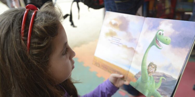 O relatório mostra ainda que cerca de 24% dos alunos brasileiros dominam apenas as habilidades básicas de leitura. Foto: Tomaz Silva/Agência Brasil