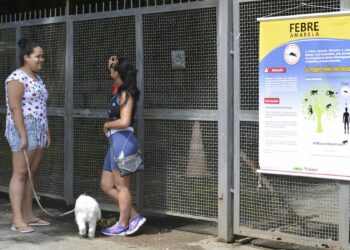 Horto Florestal reaberto após campanha de vacinação contra febre amarela da população da Zona Norte paulistana - Foto: Rovena Rosa/Agência Brasil