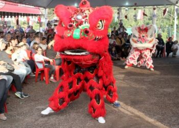 XI Festival do Japão de Vinhedo, que volta a ser realizado no Parque Municipal Jayme Ferragut - Foto: Divulgação/ Prefeitura de Vinhedo