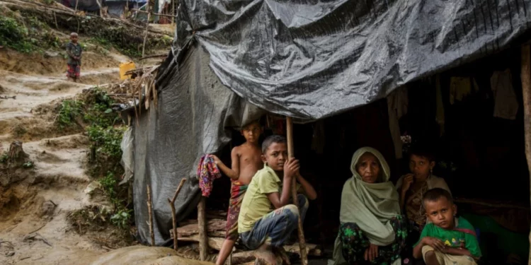 Refugiados rohingya abrigados no campo de Chonkhola, em Chakdhala, Foto: Acnur/Divulgação