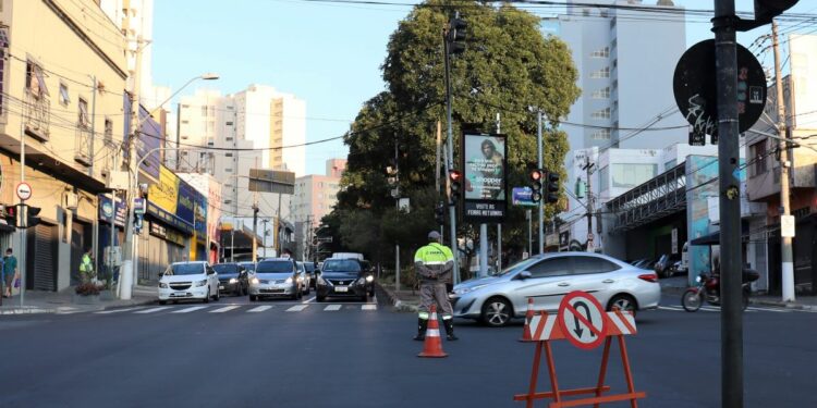 Extração de palmeira provoca bloqueio na Avenida Irmã Serafina