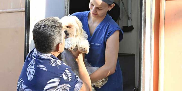 Tutora entrega cão para castração: procedimento evita ninhadas indesejadas e melhora qualidade de vida do pet - Foto: Eduardo Lopes/PMC/Divulgação