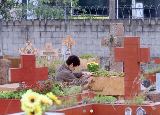 Dengue: orientação é não colocar flor com prato ou embrulho nos cemitérios
