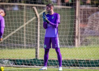 Goleiro Pegorari será titular do Guarani no duelo contra o Juventude - Foto: Thomaz Marostegan/Guarani FC