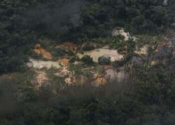 Área na terra yanomami degradada pelo garimpo ilegal e estimulada no governo Bolsonaro: mulher tinha sinais de violência sexual e enforcamento - Foto: Fernando Frazão/Agência Brasil