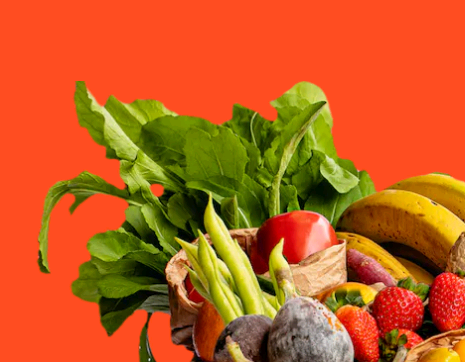 Startup que entrega alimentos orgânicos em casa expande operação para Campinas