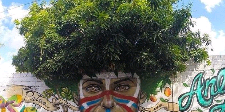 Gênese da sustentabilidade no Brasil – por José Pedro Martins