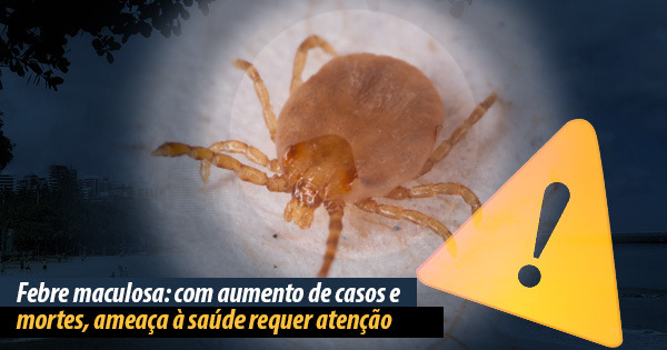 Febre maculosa: veterinário explica como carrapato-estrela transmite a doença