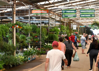 O Mercado das Flores funciona neste sábado das 8h às 13h. Foto: Divulgação