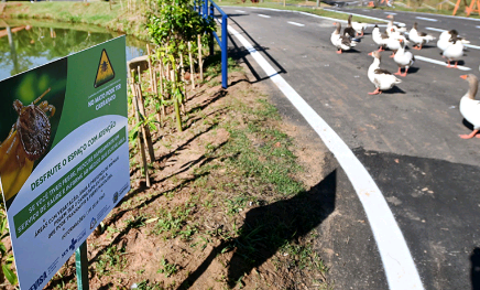 Lei em Campinas vai obrigar sinalizar risco de febre maculosa em locais privados e eventos