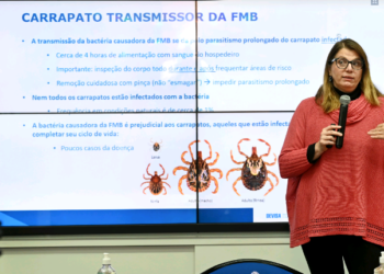 Diretora de Vigilância em Saúde, Andrea von Zuben, explicou sobre a doença nesta manhã - Foto: Carlos Bassan/Divulgação PMC