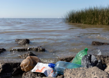 Comunidade internacional iniciou negociações para um acordo juridicamente vinculativo para acabar com a poluição plástica - Foto: Freepik