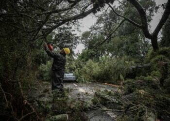 Queda de árvores em Porto Alegre atingiu cabos de energia - Prefeitura POA/Divulgação