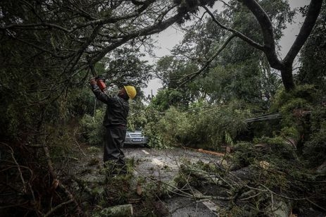 Ciclone no Sul causa ao menos uma morte em São Leopoldo