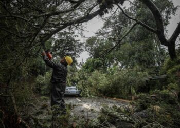 As tempestades afetaram 41 cidades gaúchas e 31 catarinenses Foto: Divulgação