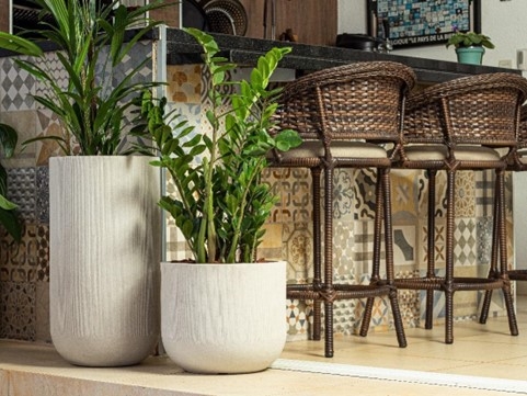 Enflor e Garden Fair apresentam novidades em flores, plantas e acessórios