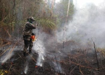 Na região da Amazônia, as queimadas aumentaram 14% em relação ao último ano. Foto: Arquivo