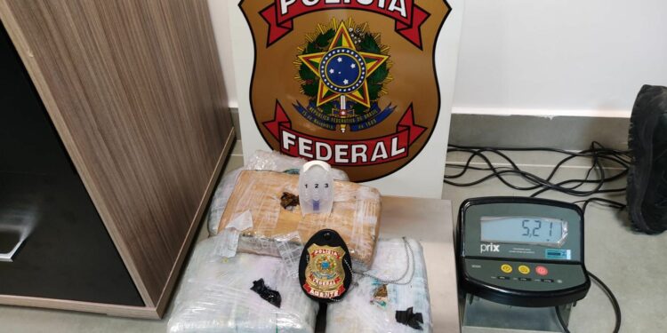 Droga foi localizada durante fiscalização de rotina de passageiros e bagagens pela Polícia Federal no aeroporto - Foto: Divulgação PF