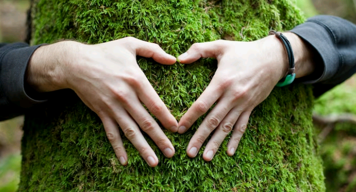 Direitos da Natureza, nova fronteira da sustentabilidade – por José Pedro Martins