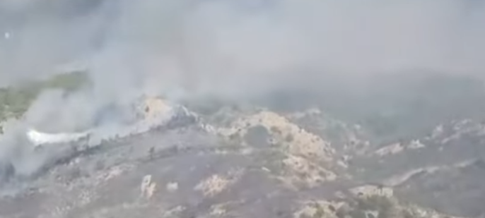 Incêndios florestais crescem na Europa; Grécia encontra corpos em área devastada