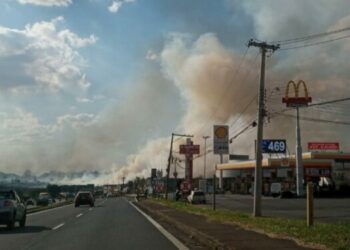 Incêndio em área de mata do Exército, em Campinas, no final de julho: cortina de fumaça Foto: Divulgação