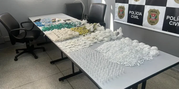 Polícia apreendeu mais de 5 mil porções de drogas Foto: Polícia Civil