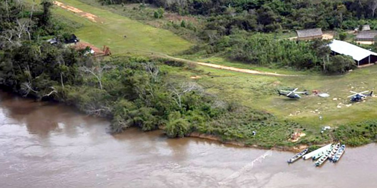 Fundo Amazônia deve financiar ações para reduzir o desmatamento e a degradação florestal - Foto: Ibama/Divulgação