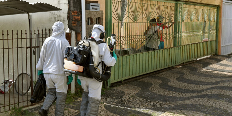Ação de combate à dengue será realizada em Campinas. Foto: Divulgação