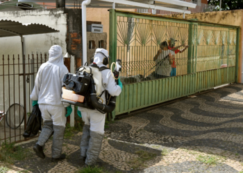Quatro bairros de Campinas têm alerta de alto risco para dengue