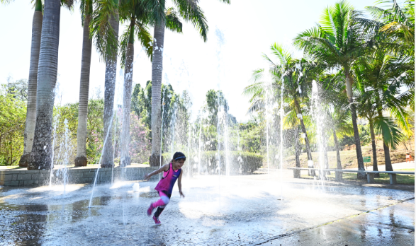Confira como funcionam serviços públicos em Campinas no feriado da Independência