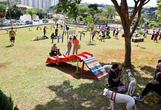 Animais de estimação: altas temperaturas exigem cuidados extras