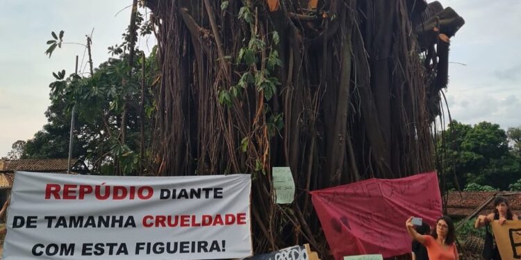 Ato no sábado (2) reuniu moradores e ativistas em Barão Geraldo - Fotos: Divulgação/Redes Sociais