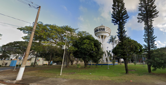 Prefeitura atende MP e vai remover árvores da Rodovia Adhemar de Barros