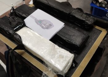 Cocaína apreendida seria transportada para a França Foto: Divulgação/PF