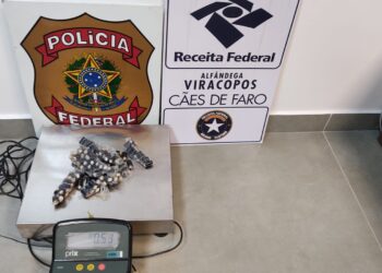Polícia Federal apreendeu meio quilo de cocaína; fiscalização faz parte da Operação Sentinela Foto: Divulgação/PF