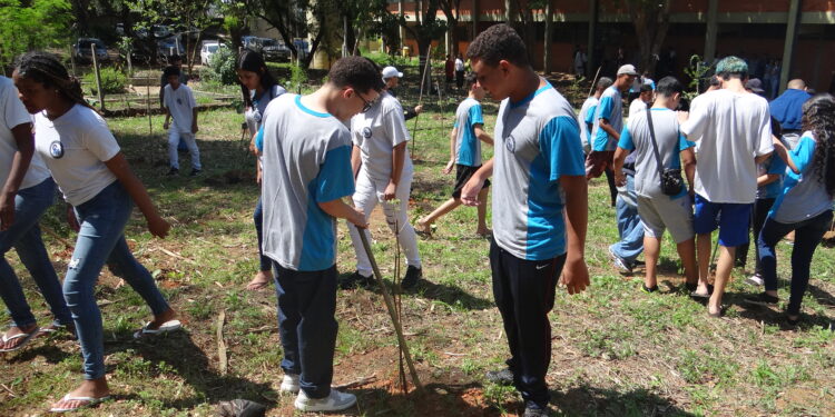 Plantio foi feito com alunos da Escola Estadual Professor Coriolano Monteiro. Foto: Divulgação