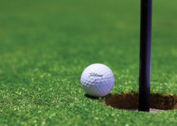 XI Edição Torneio de Golfe Beneficente para Amadores acontece no Lago Azul Golfe Clube, em Araçoiaba da Serra - Foto: Pixabay/Divulgação