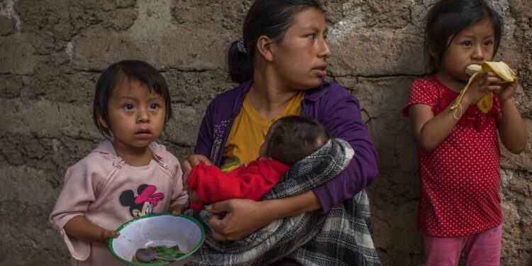 Guatemala tem uma das taxas mais altas de desnutrição infantil do mundo. Foto: Daniele Volpe/Unicef