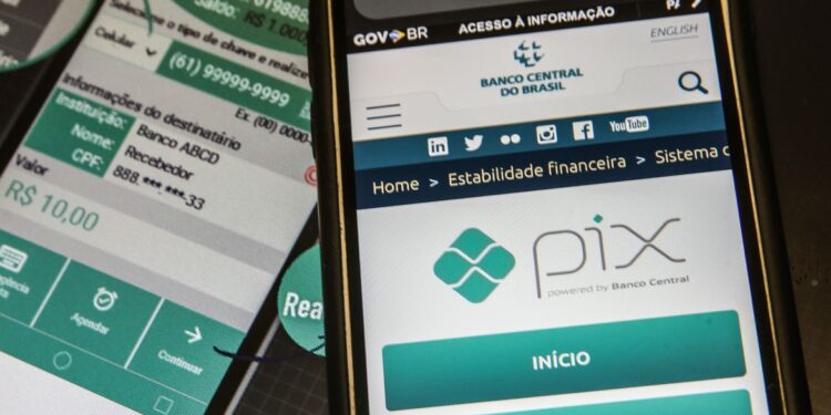 Pix é o pagamento instantâneo brasileiro: Lançado pelo BC em novembro de 2020, o País tem atualmente 650,7 milhões de chaves PIX - Foto: Agência Brasil